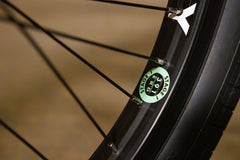 Sunday Forecaster - Brett Silva Signature (Gloss Seaweed Green with 20.75" tt in RHD)